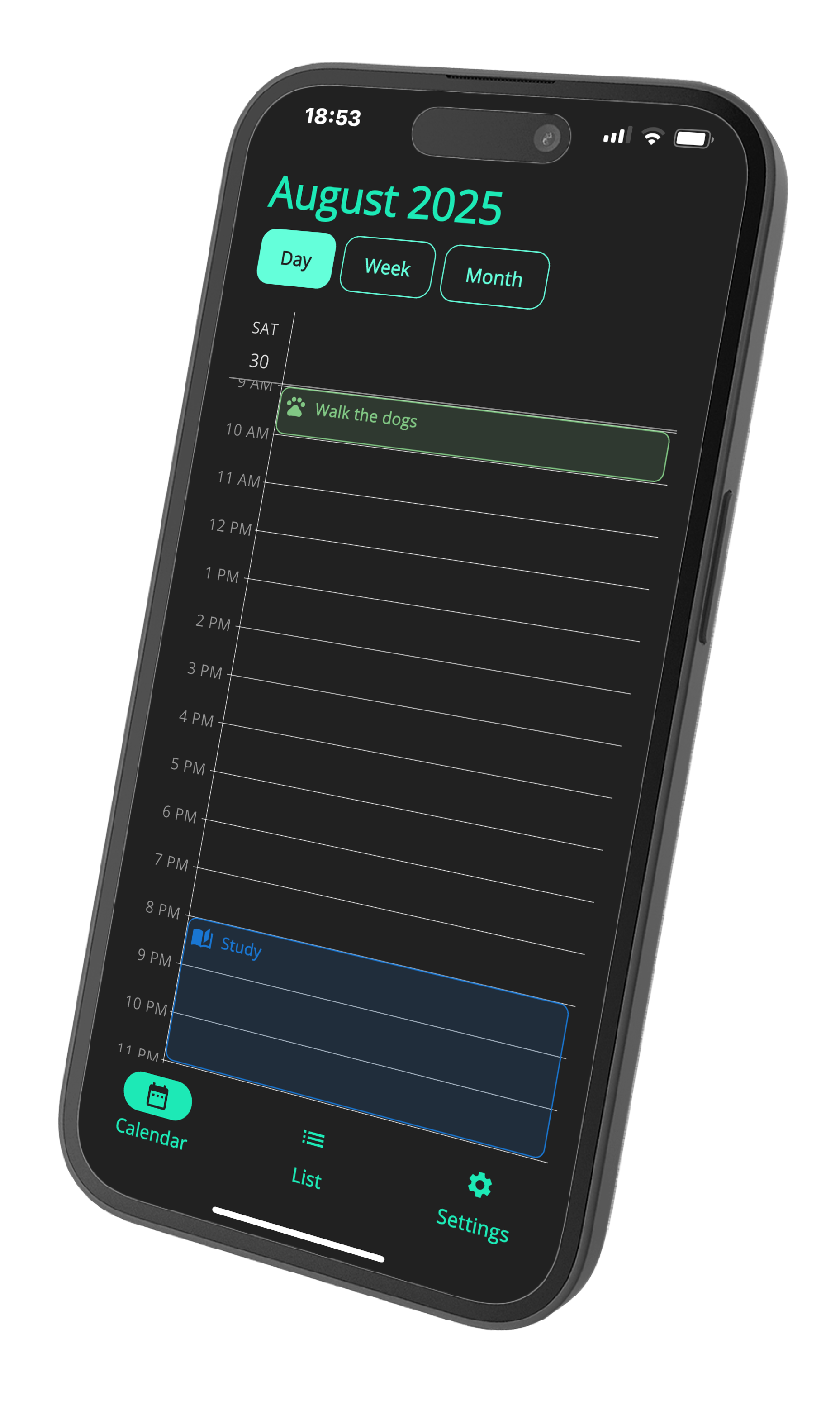 Day view screen